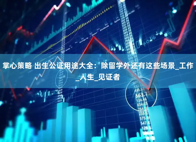 掌心策略 出生公证用途大全：除留学外还有这些场景_工作_人生_见证者