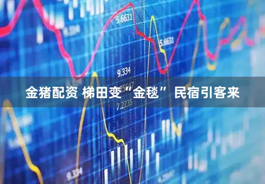 金猪配资 梯田变“金毯” 民宿引客来