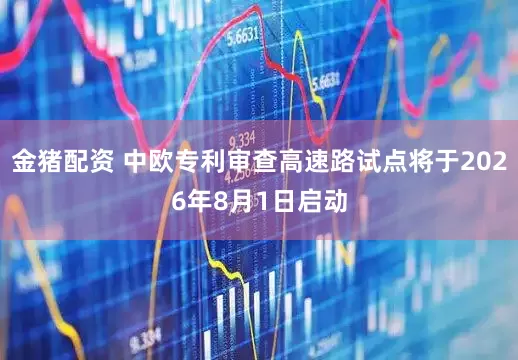金猪配资 中欧专利审查高速路试点将于2026年8月1日启动