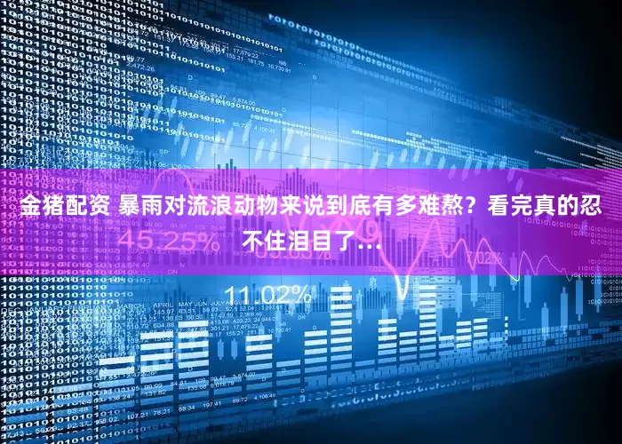 金猪配资 暴雨对流浪动物来说到底有多难熬？看完真的忍不住泪目了…